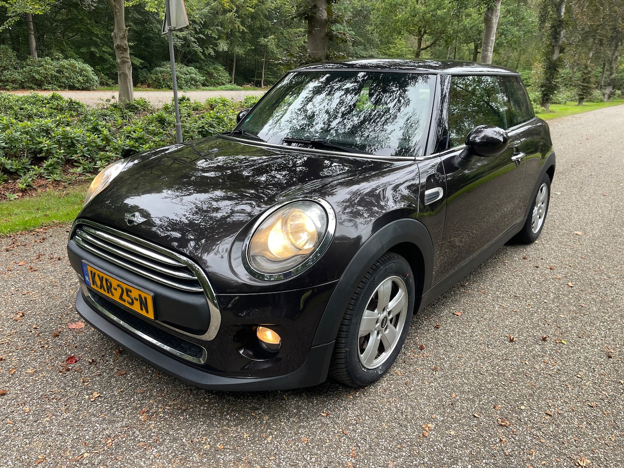 MINI 3-Deurs - 1.2 One Clima / Wired pakket / Top !! - AutoWereld.nl