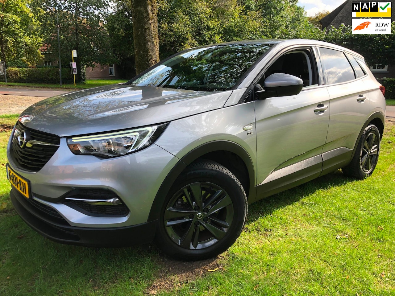 Opel Grandland X - 1.2 Turbo 120 Jaar Ed. Nwe Distr / ORG NL - AutoWereld.nl