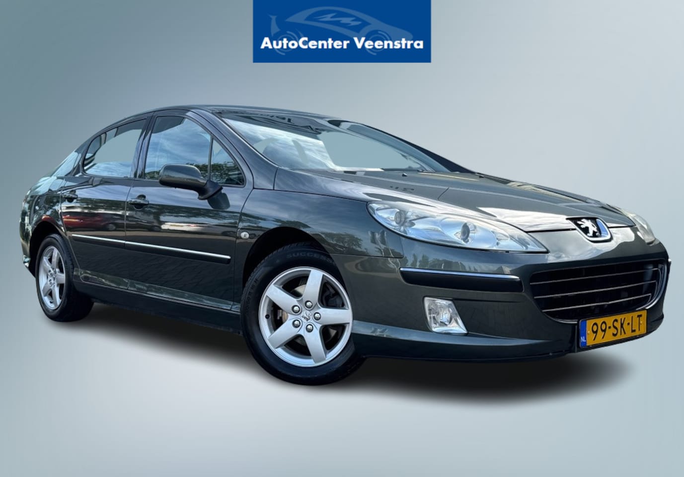 Peugeot 407 - 2.0-16V XR Pack|TREKHAAK|ZEER NETJES|GOED ONDERHOUDEN - AutoWereld.nl