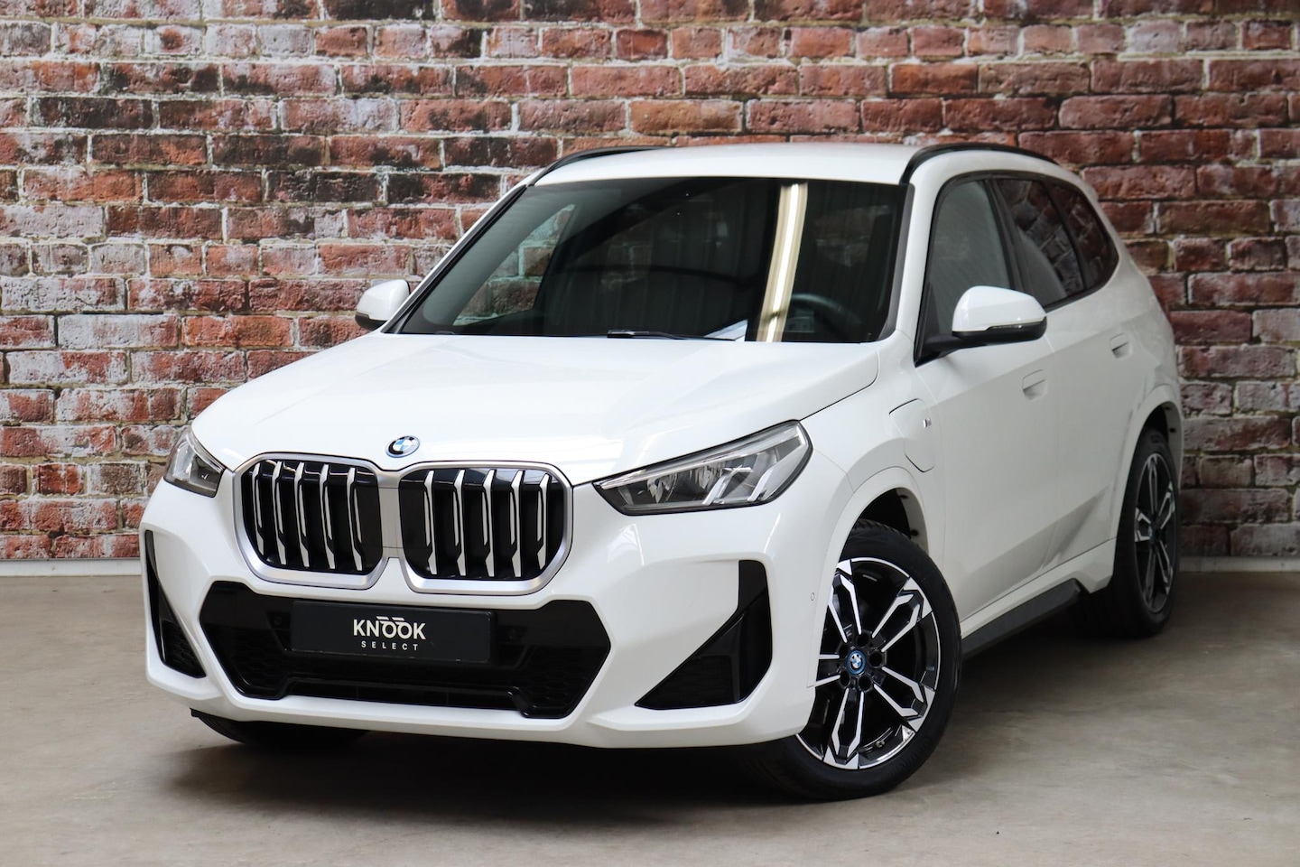 BMW X1 - xDrive25e Executive M Sport Pakket Automaat / Widescreen Display / Shadow Line / Achteruit - AutoWereld.nl