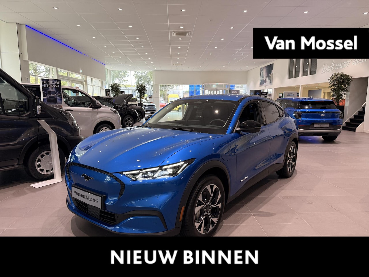 Ford Mustang Mach-E - Standard RWD 73 kWh FORD VOORDEEL: VAN € 50.471,-  NU VOOR €45.471,- | Adaptieve cruise co - AutoWereld.nl