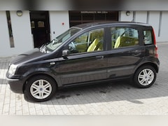 Fiat Panda - 1.2 Dynamic