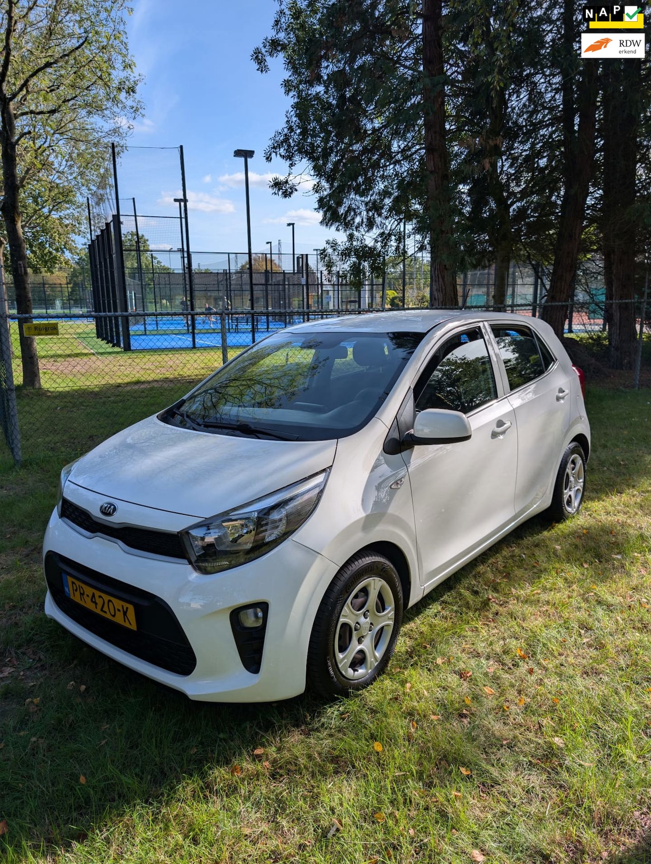 Kia Picanto - 1.0 CVVT PlusLine, Garantie , Nette Auto - AutoWereld.nl
