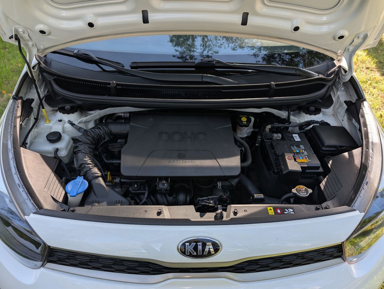 Kia Picanto - 1.0 CVVT PlusLine, Garantie , Nette Auto - AutoWereld.nl
