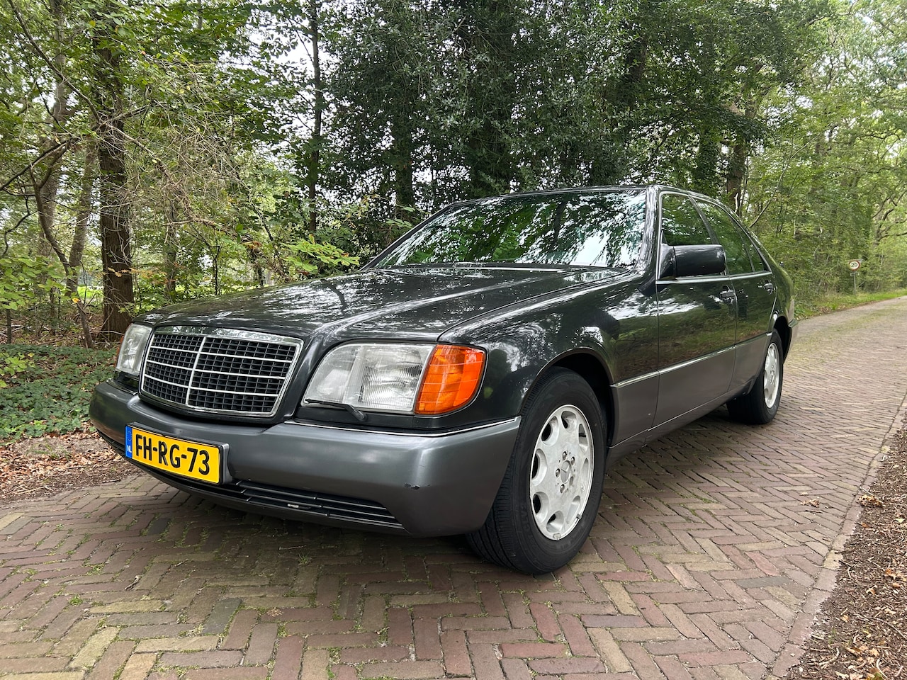 Mercedes-Benz S-klasse - 300 SE W140 - AutoWereld.nl