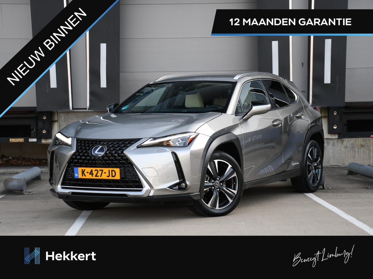 Lexus UX - 250h Executive Line 184pk Automaat 100% LEXUS ONDERHOUDEN | LEDER | 18''LM | DODE HOEK | C - AutoWereld.nl