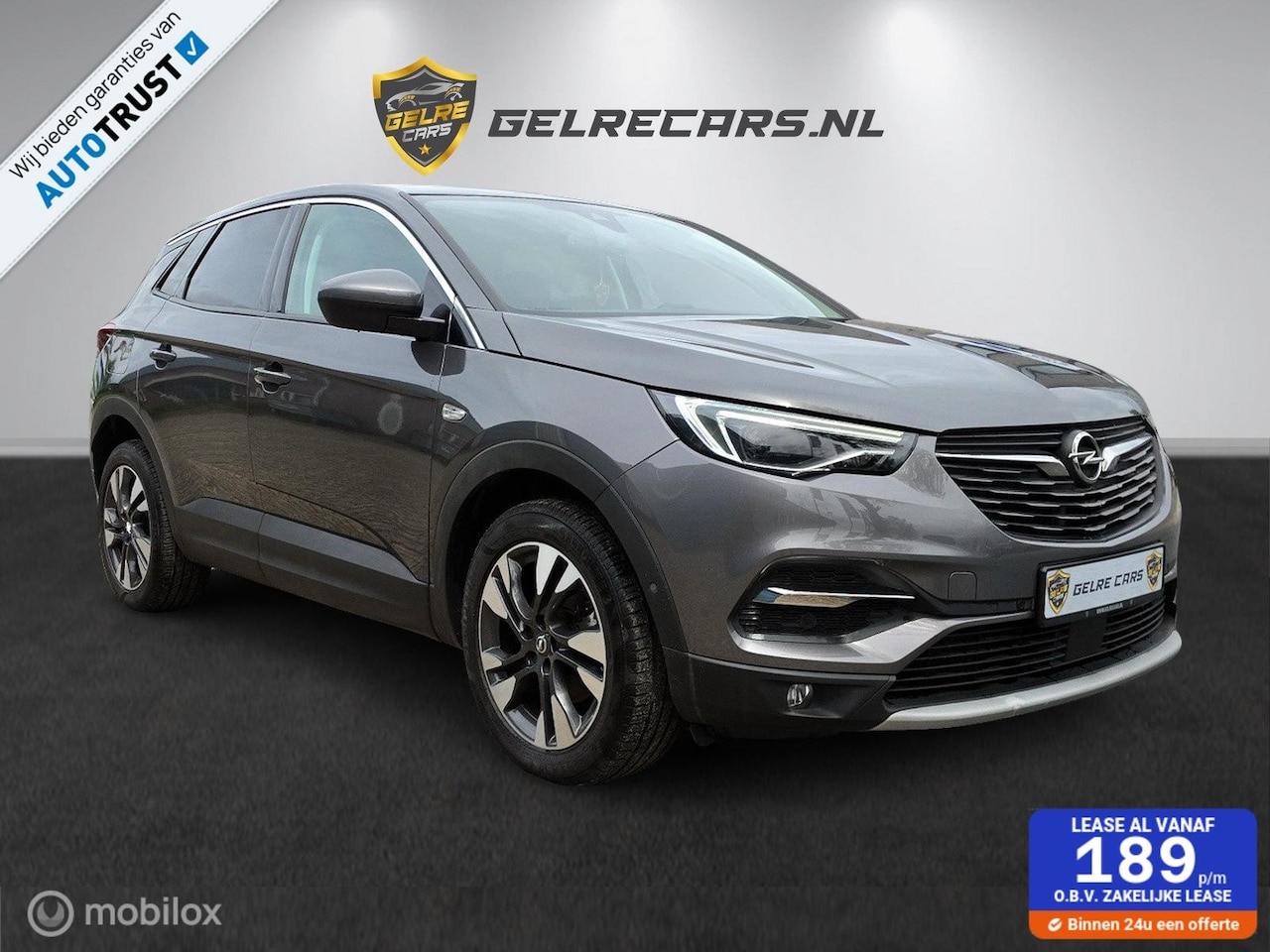 Opel Grandland X - 1.2 Turbo Innovation TOPSTAAT!! - AutoWereld.nl