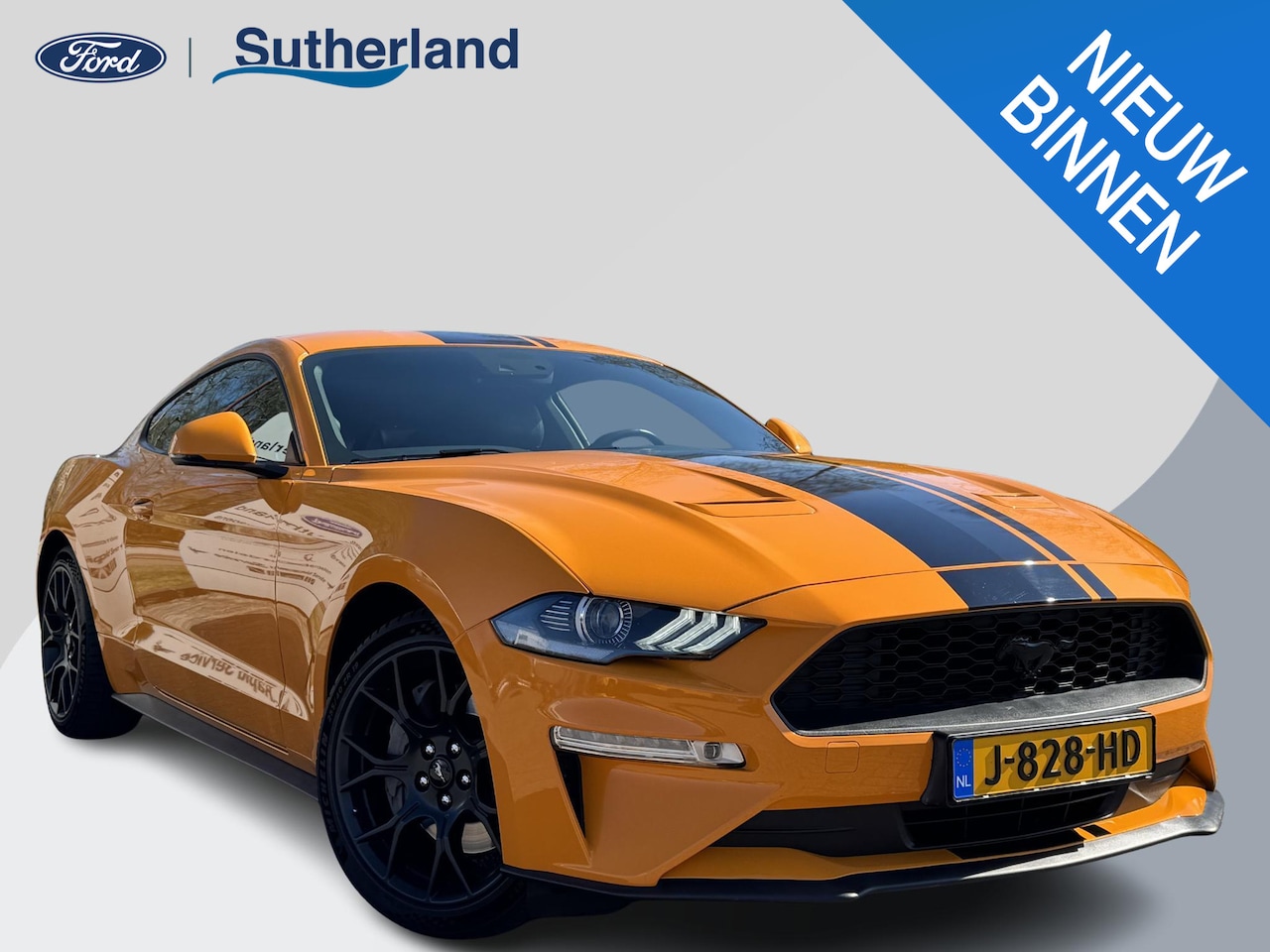 Ford Mustang Fastback - 2.3 EcoBoost 289pk | Custom Pack Black | Lederen bekleding | Navigatie full map | Voorstoe - AutoWereld.nl