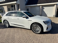 Audi e-tron - 50 quattro Business edition