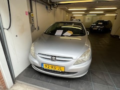 Peugeot 307 CC - 2.0-16V Peugeot 307 CC 2.0 16V Cabriolet Zilver Grijs 3-Deurs