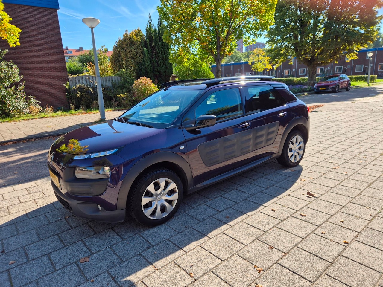 Citroën C4 Cactus - 1.2 PureTech Business Automaat Cruise - AutoWereld.nl