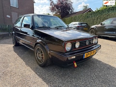 Volkswagen Golf - 1.8-20V GTI Fire and Ice