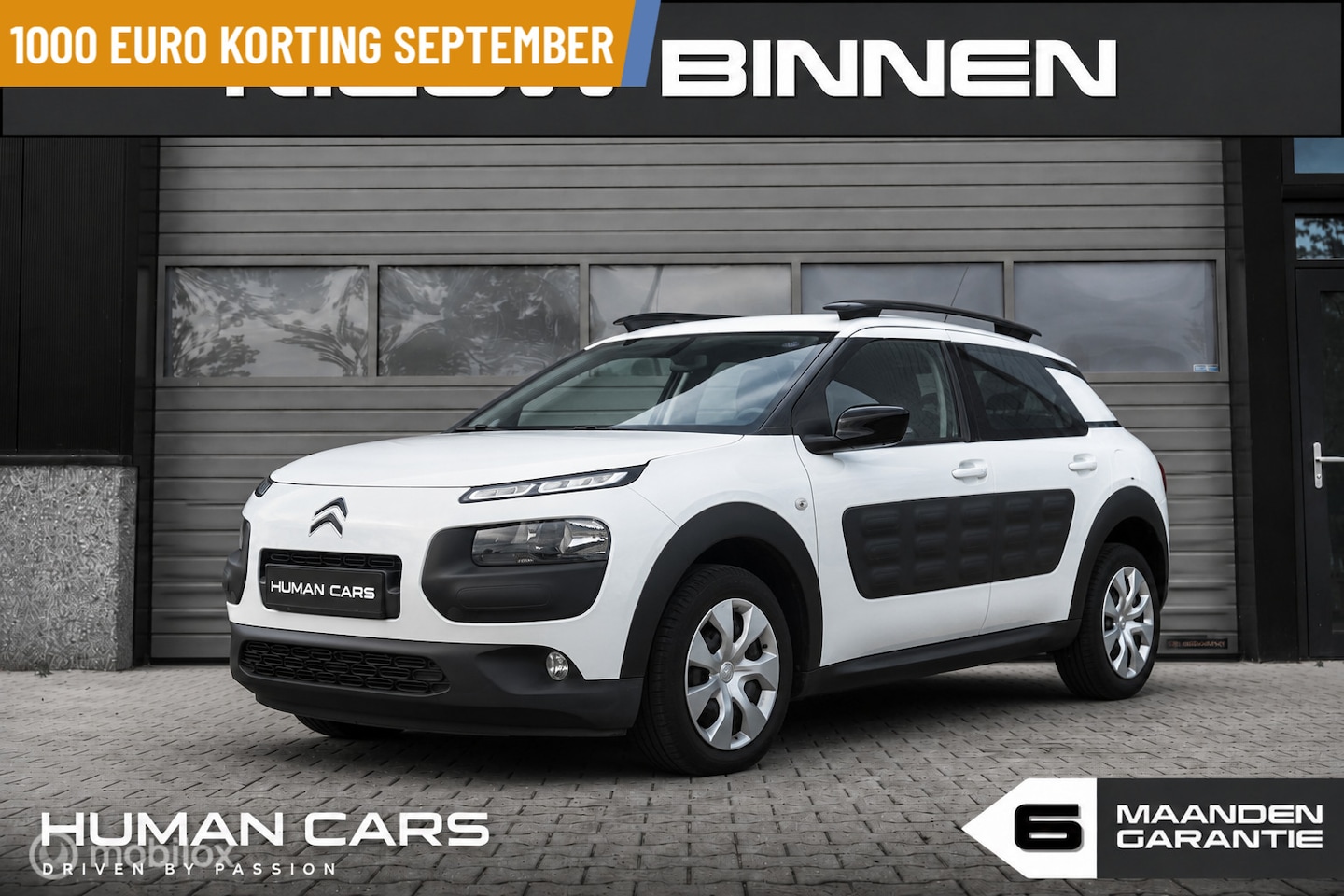 Citroën C4 Cactus - 1.2 PureTech Business Automaat N.a.p wit - AutoWereld.nl
