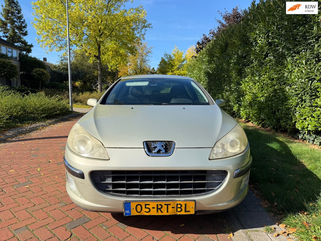 Peugeot 407 - 2.0-16V, Automaat, Dealer onderhouden, APK 25-09-2027. - AutoWereld.nl