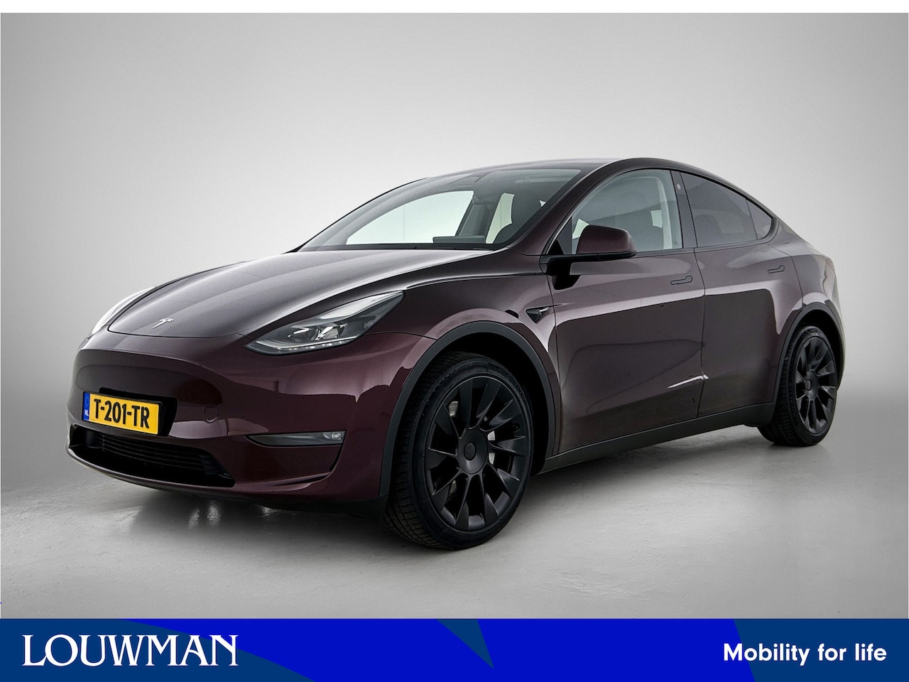 Tesla Model Y - Long Range AWD 75 kWh Long Range AWD 75 kWh - AutoWereld.nl