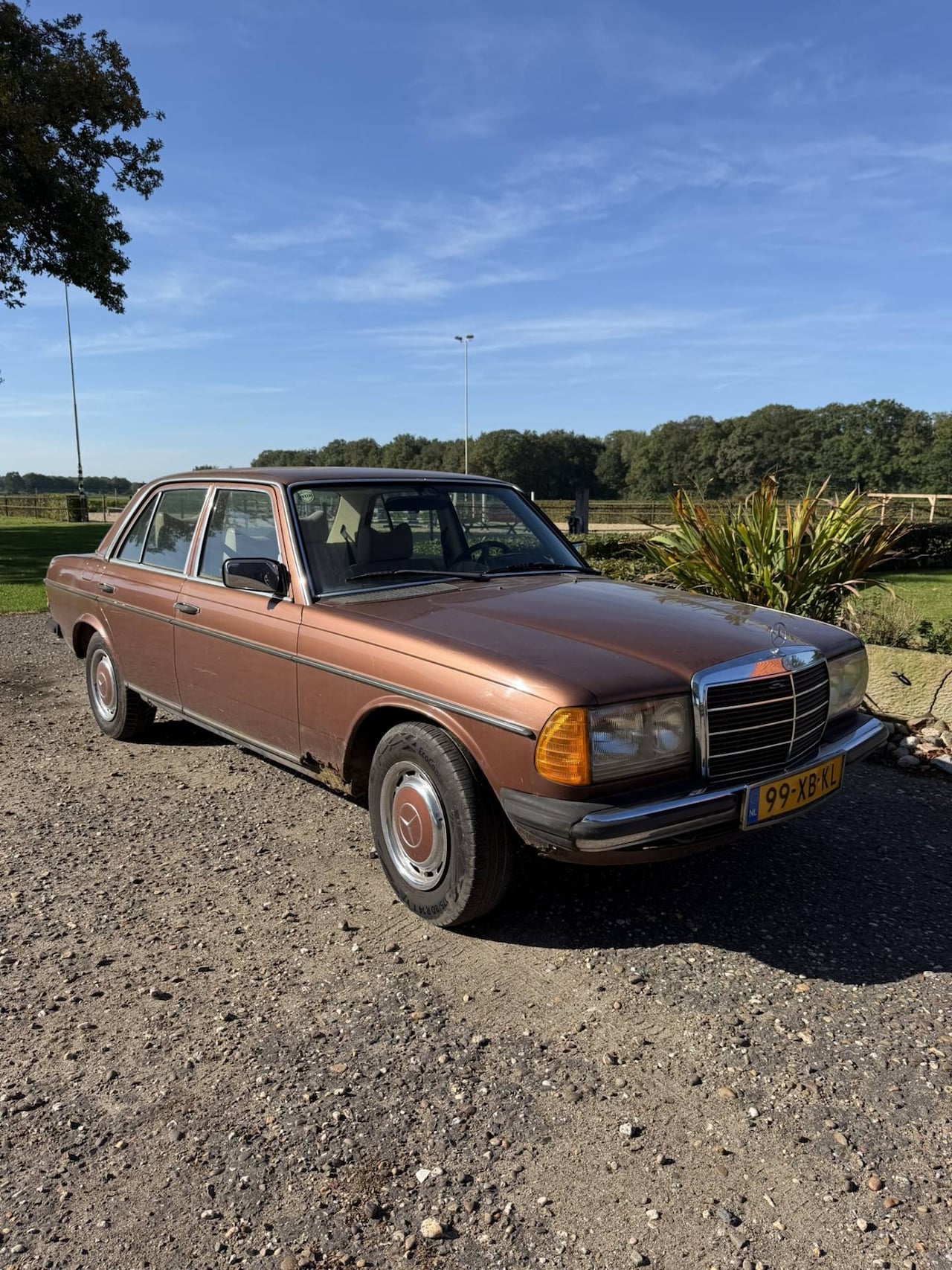 Mercedes-Benz 200-280 (W123) - 250 250 - AutoWereld.nl