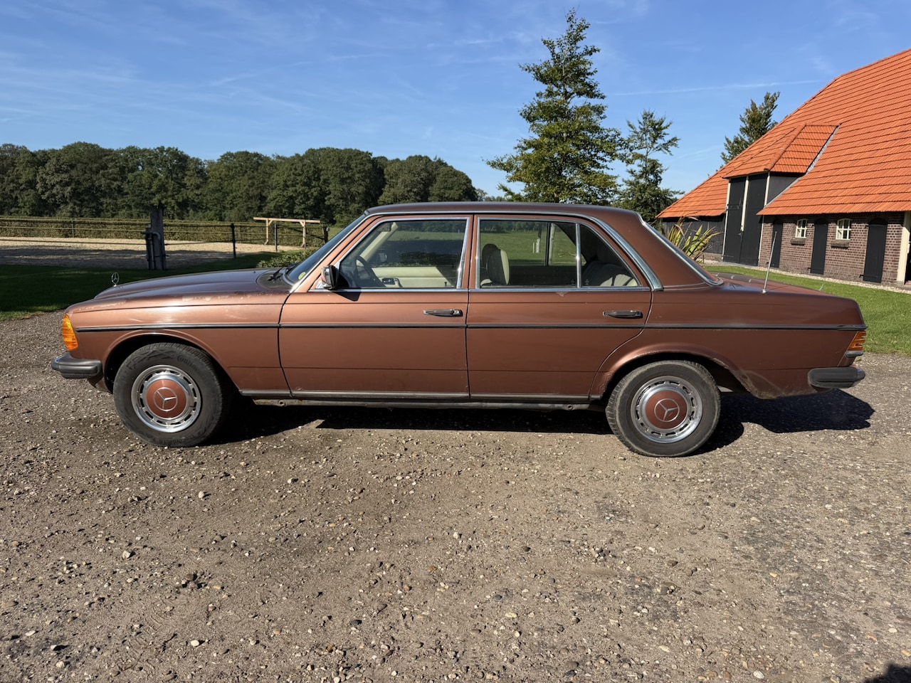 Mercedes-Benz 200-280 (W123) - 250 250 - AutoWereld.nl