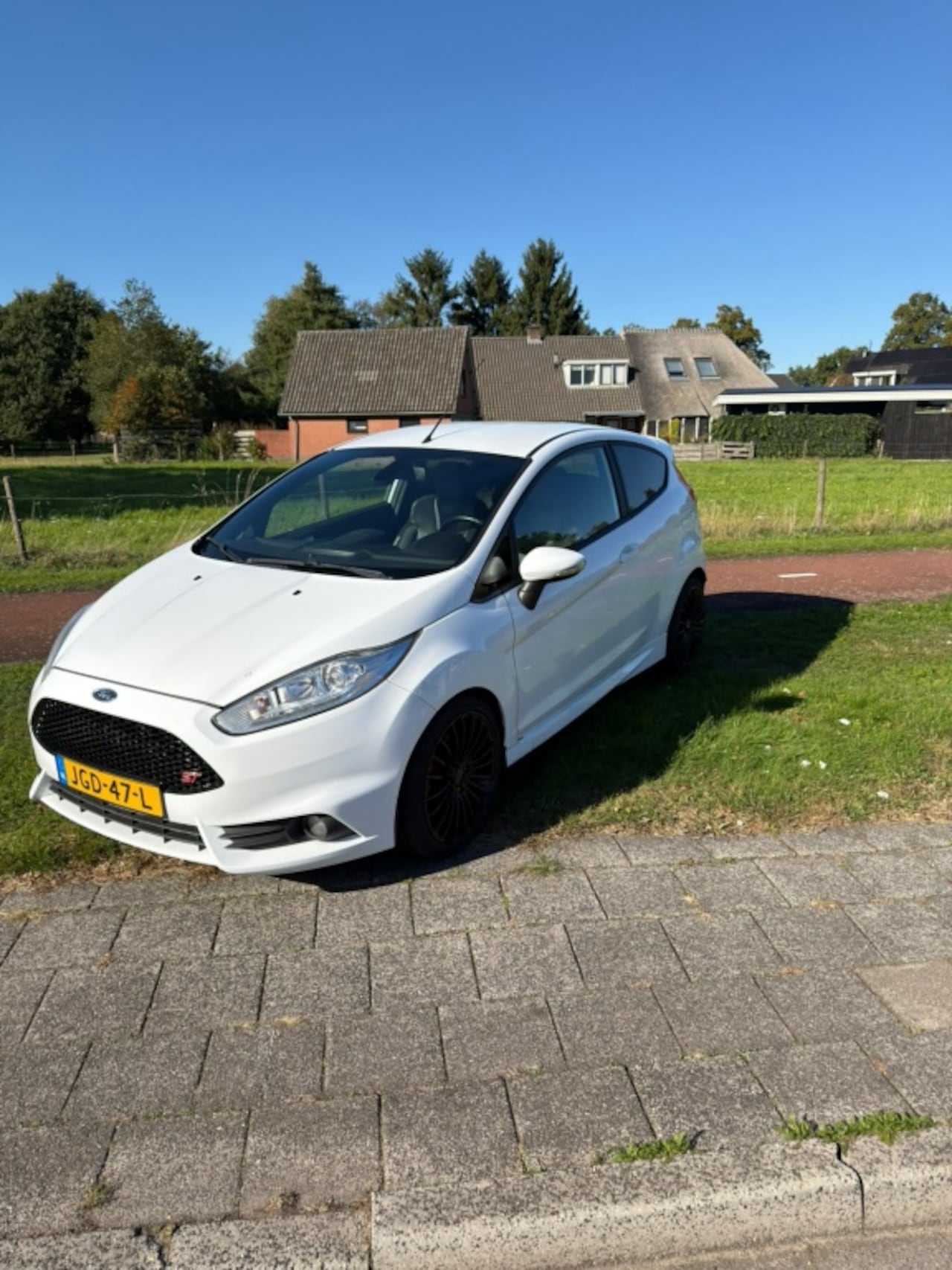 Ford Fiesta - ST - AutoWereld.nl