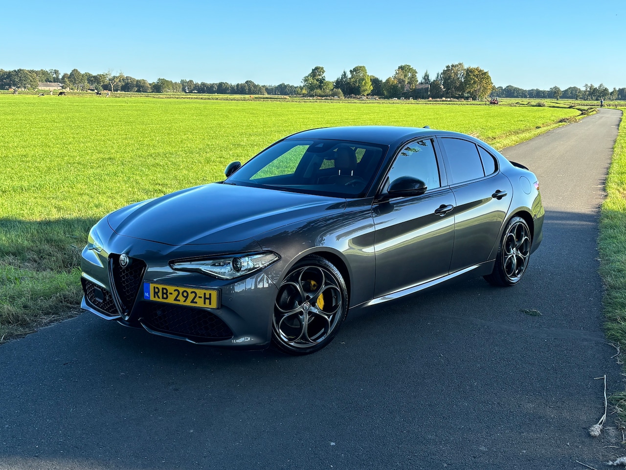 Alfa Romeo Giulia - 2.0T Super - AutoWereld.nl