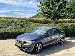 BMW 2-serie Cabrio - 218i M Sport | CarPlay | Leer | Stoelver| PDC