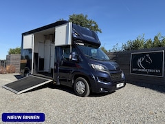 Peugeot Boxer - | HORSETRUCK | MVV | STALLION 3XL | 2015 | HENGST | MANUAL | 3-SEAT | 130PK | NO VAT | MAR