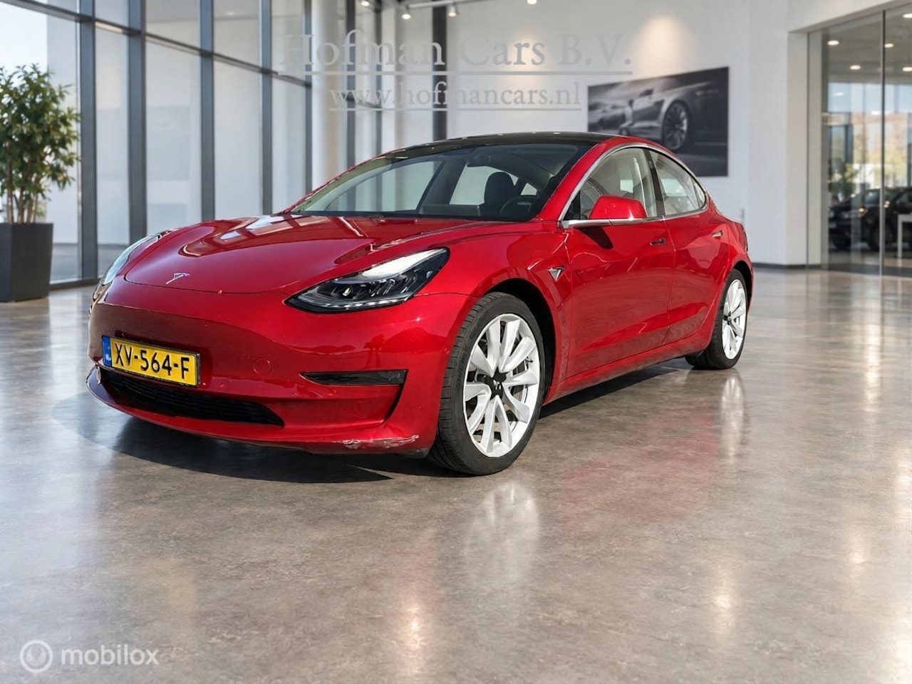 Tesla Model 3 - Long Range AWD 75 kWh | Trekhaak | 19" | Rood | SOH 80,5% - AutoWereld.nl
