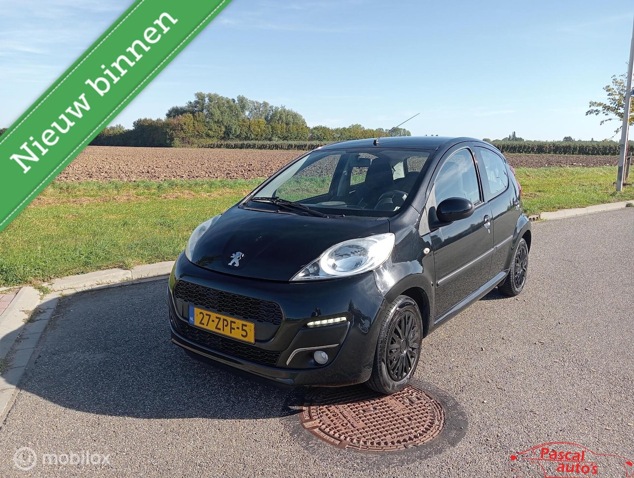 Peugeot 107 - 1.0 Active nap nw apk airco - AutoWereld.nl