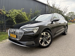 Audi e-tron - 50 quattro Business edition Plus 71 kWh / AUTOMAAT / PANORMADAK / TREKHAAK / NAVI / MEMORY