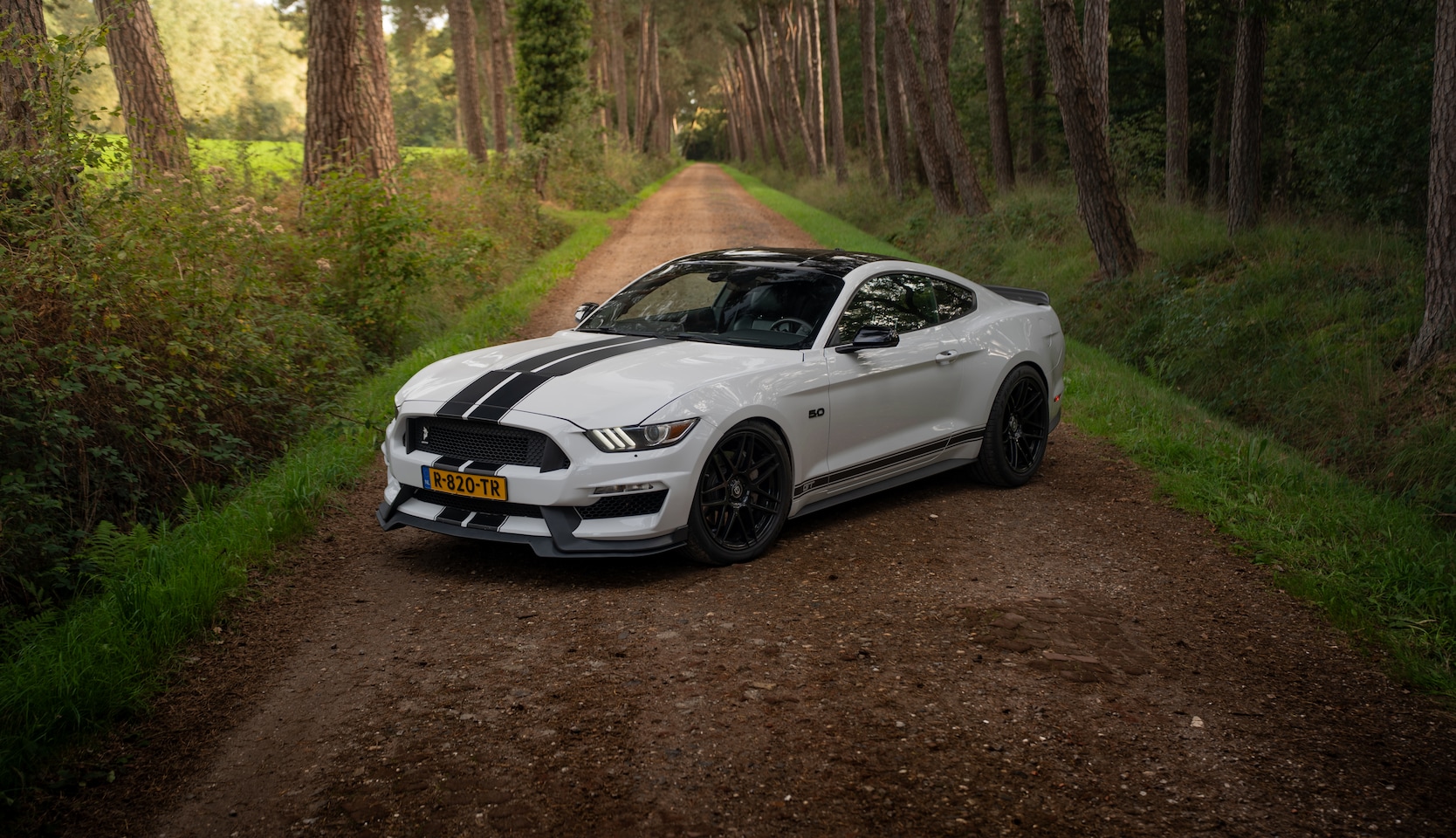 Ford Mustang Fastback - 5.0 GT GT350 style | Borla | Brembo - AutoWereld.nl