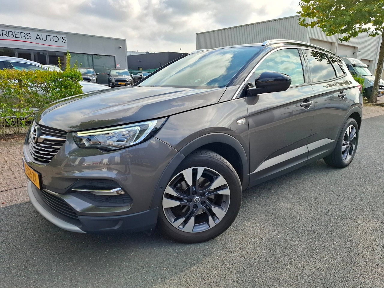 Opel Grandland X - 1.2 Turbo Business Executive CLIMA/CRUISE/NAVI! - AutoWereld.nl