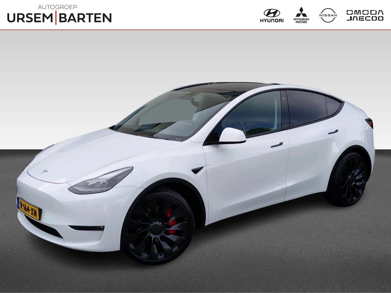 Tesla Model Y - Performance AWD 75 kWh | Autonomous Emergency Braking | Buitenspiegels elektr. met geheuge - AutoWereld.nl