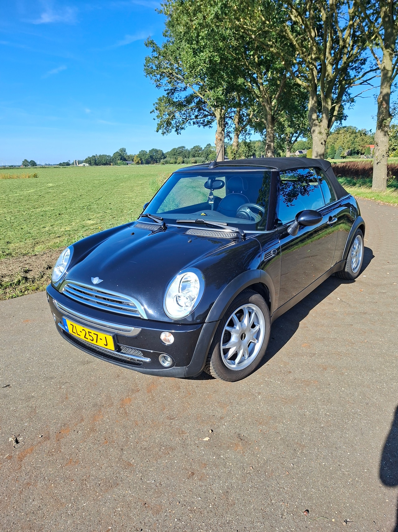 MINI Cabrio - 1.6 Cooper Cooper - AutoWereld.nl