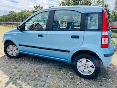Fiat Panda - 1.2 Dynamic