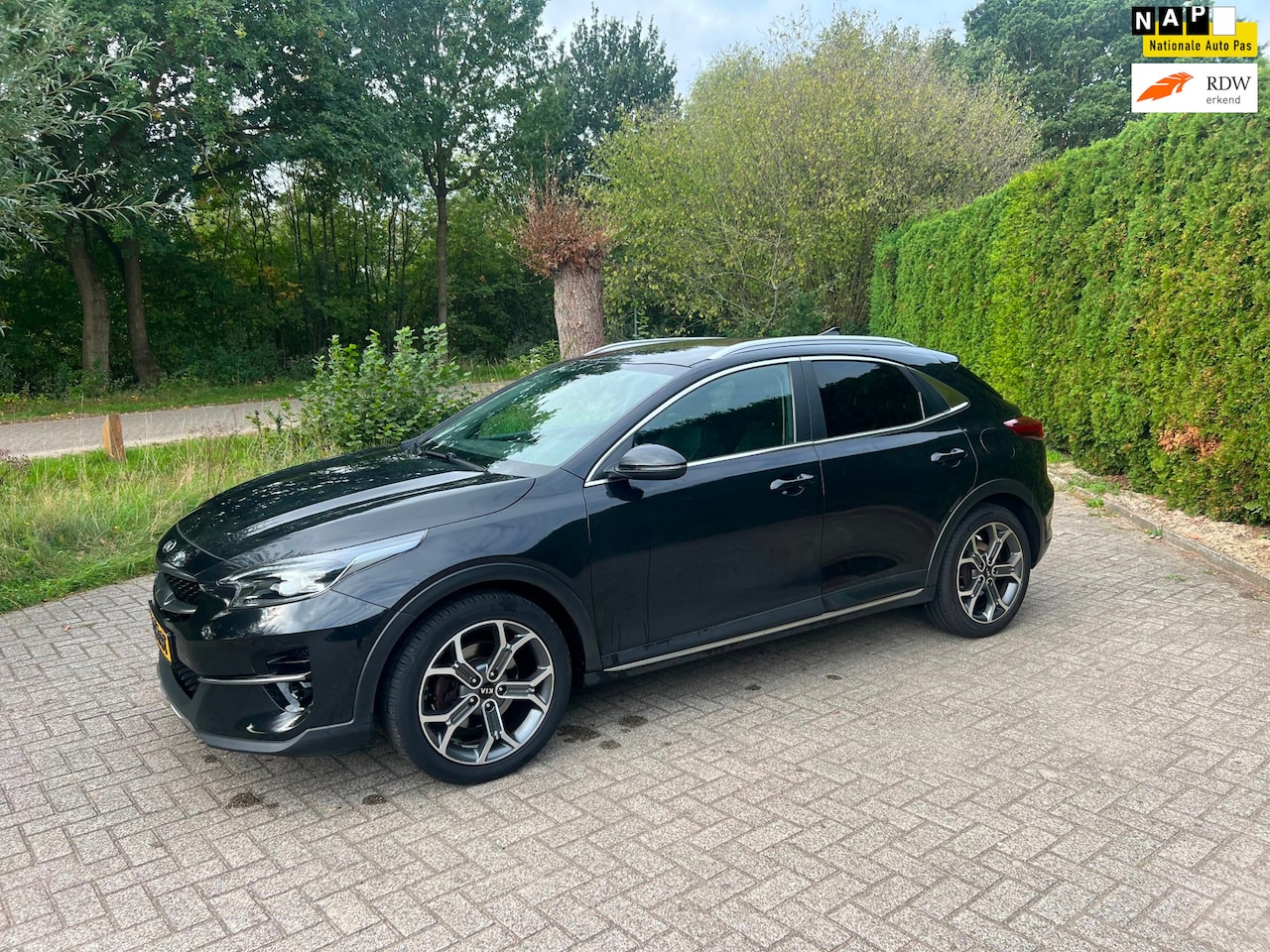 Kia XCeed - 1.0 T-GDi DynamicPlusLine STOELVERWARMING XENON - AutoWereld.nl