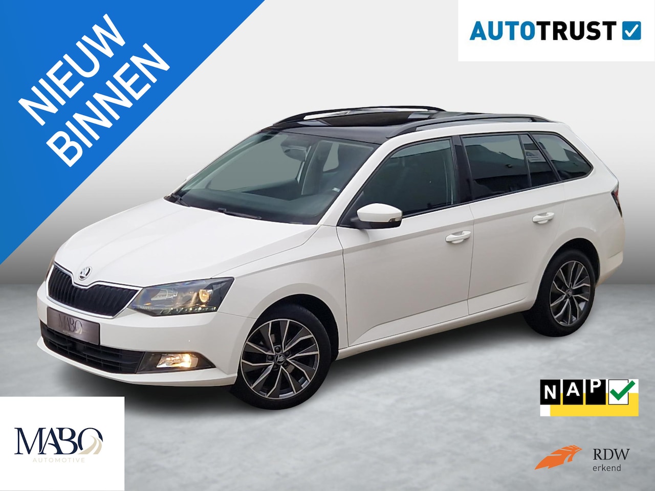 Skoda Fabia Combi - 1.2 TSI Edition NL Auto|1ste eig.|Goed onderh.|Pano|D.Riem V.V. - AutoWereld.nl