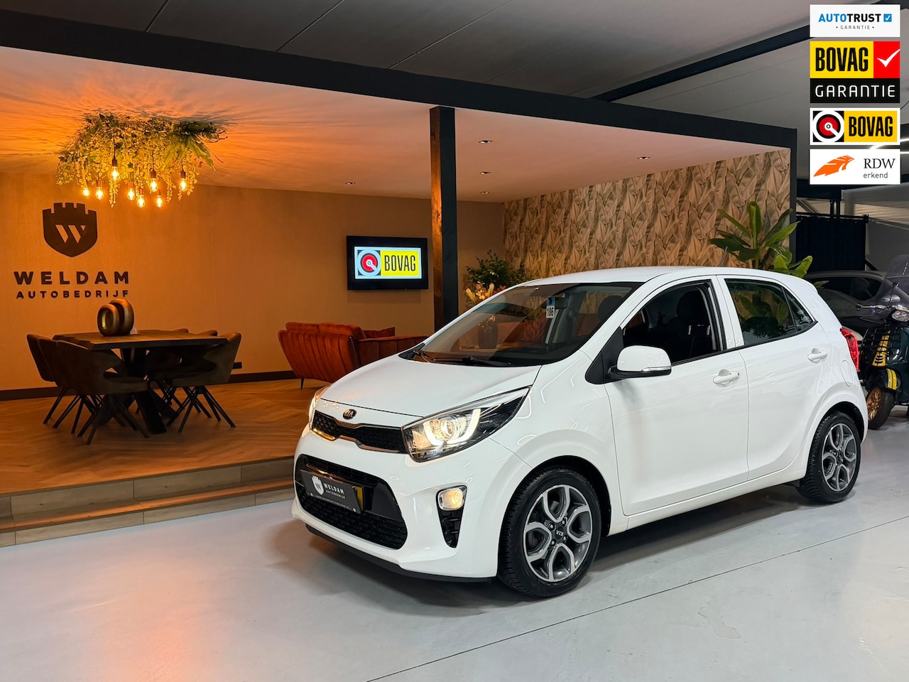 Kia Picanto - 1.0 CVVT First Edition|Garantie|NAP NL Auto|Nav|Camera|Cruise|Airco - AutoWereld.nl