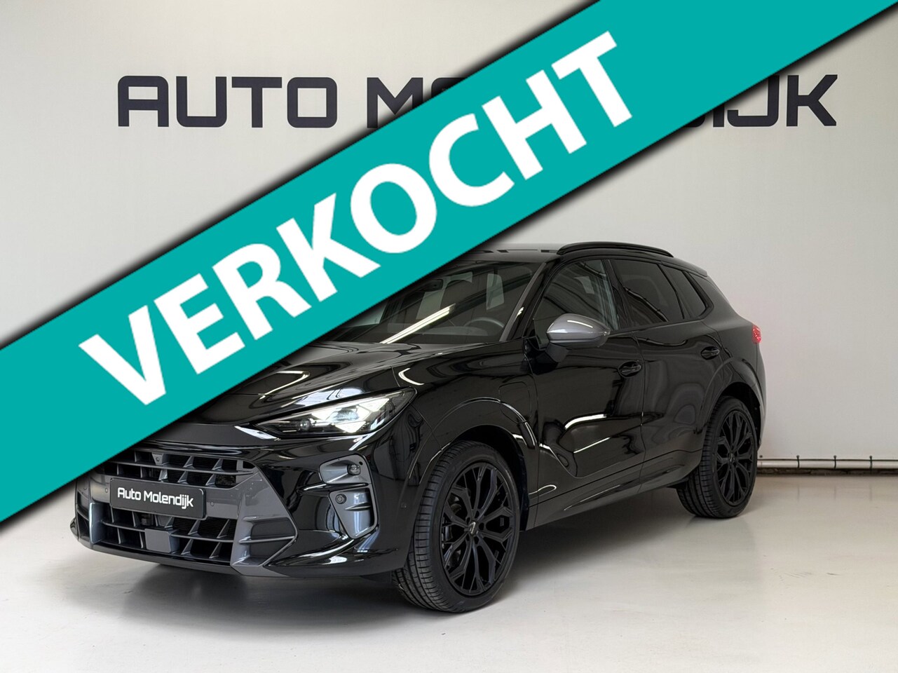 CUPRA Terramar - 1.5 TSI e-Hybrid PHEV / Memory stoel / el. klep / 360 cam / 5jaar Garantie - AutoWereld.nl