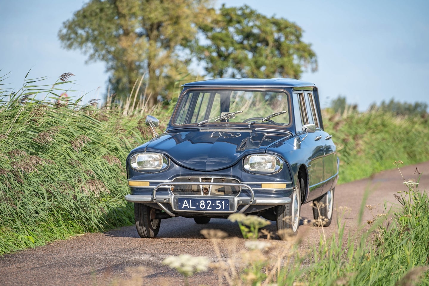 Citroën Ami - 6 BREAK - AutoWereld.nl