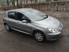 Peugeot 307 - 1.6-16V XS Premium