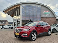 Opel Grandland X - 1.6 Turbo Hybrid Business Edition Carplay|Cruise