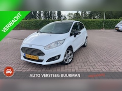 Ford Fiesta - 1.0 White Edition 1e Eigenaar, Origineel Nederlands, Lichtmetalen Velgen, Airco, Radio, El