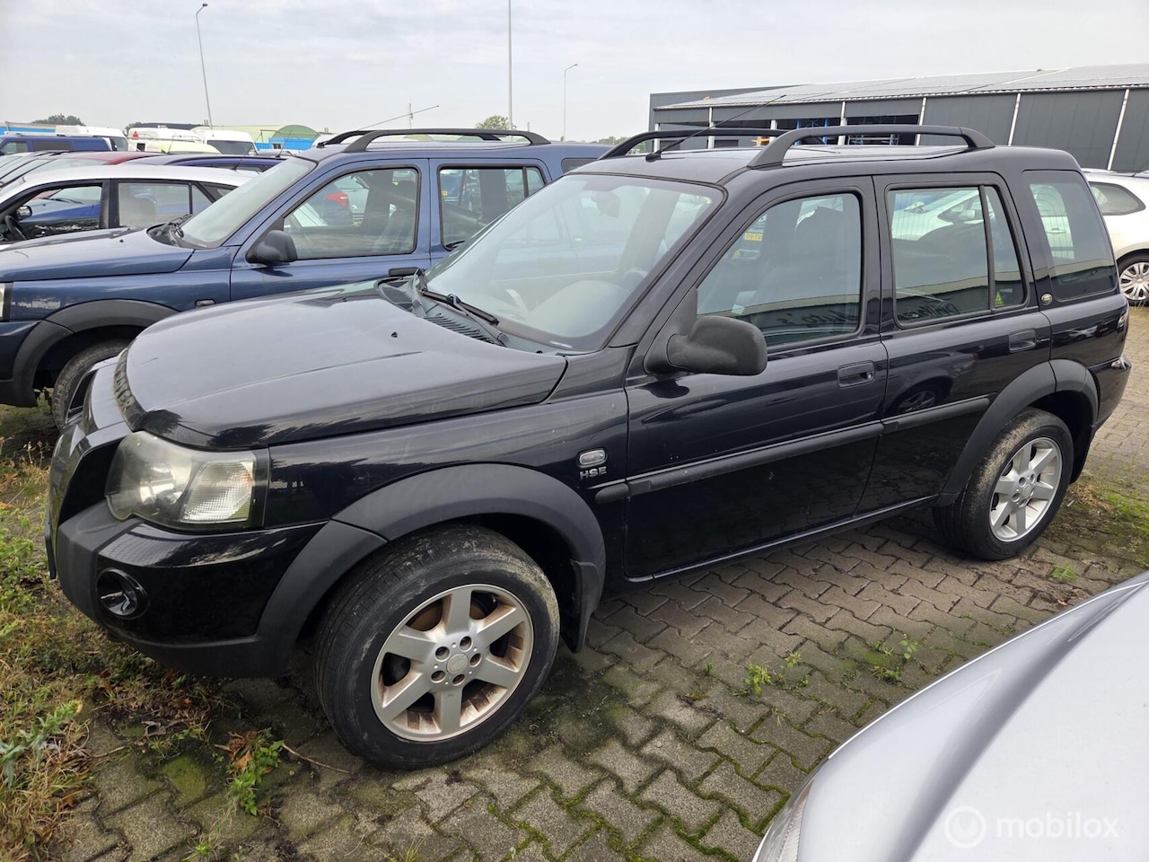 Land Rover Freelander Station Wagon - 2.5 V6 HSE 2 stuks!!! - AutoWereld.nl