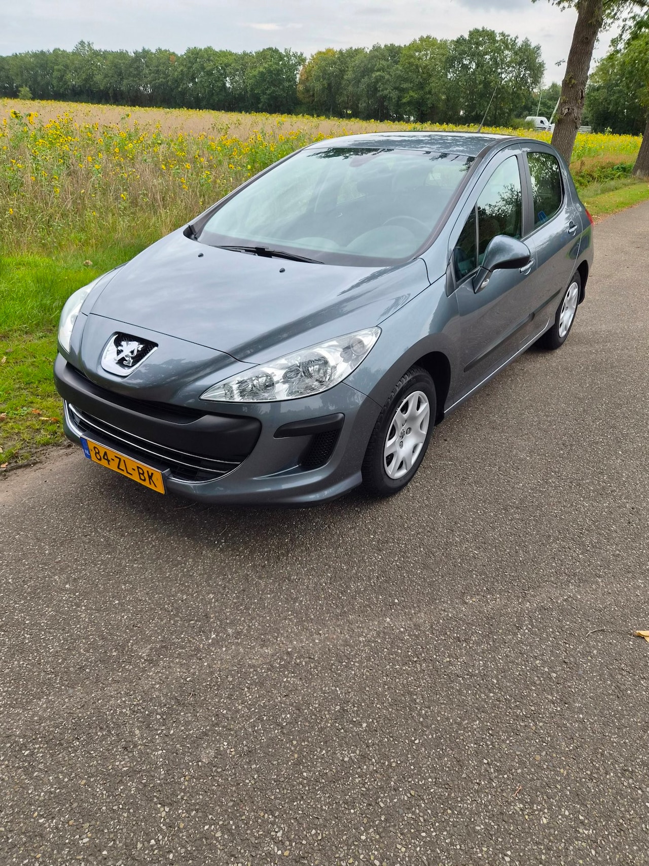 Peugeot 308 - 1.4 VTi X-line 1.4 VTi X-line - AutoWereld.nl