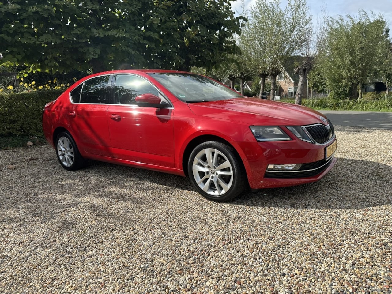 Skoda Octavia - 1.0 TSI DSG Aut. Style Bns.