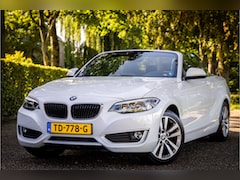 BMW 2-serie Cabrio - 228i High Executive Leder Windscherm