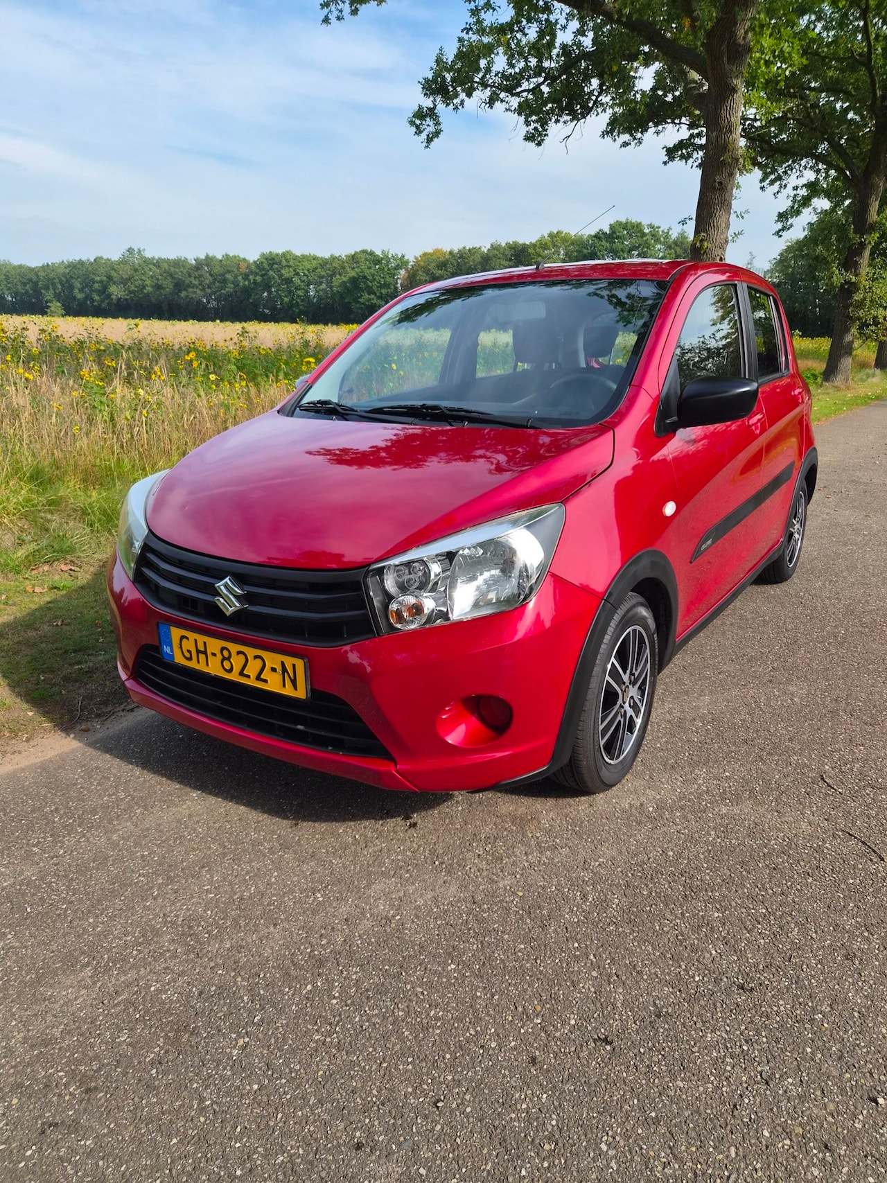 Suzuki Celerio - 1.0 Comfort 1.0 Comfort - AutoWereld.nl