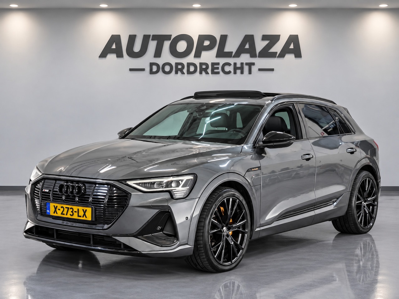 Audi e-tron - E-tron 50 quattro SOH 89.6%|S Line|Pano|Camera| - AutoWereld.nl