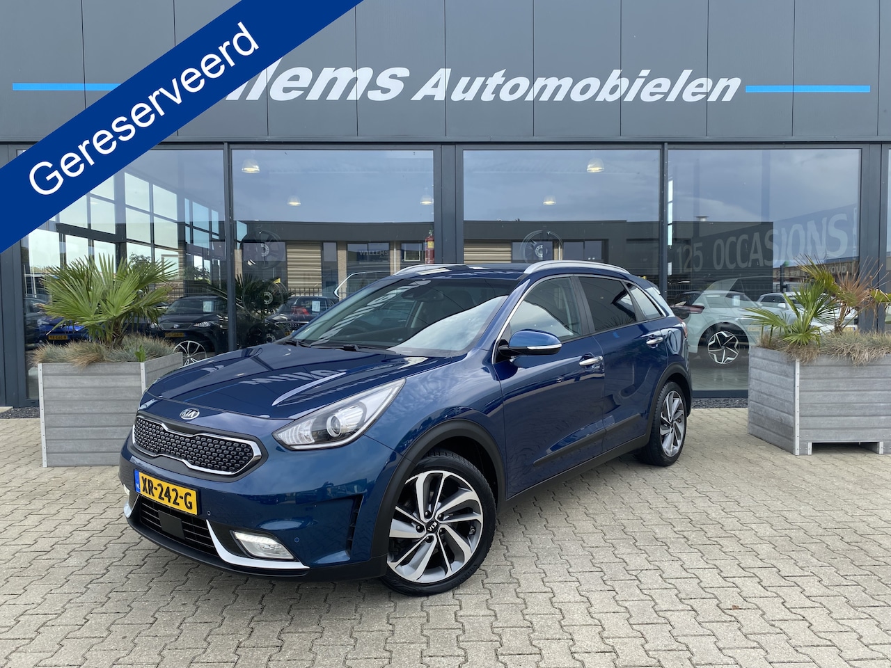 Kia Niro - 1.6 GDi Hybrid BusinessLine Stoelverwarming & Stuurverwarmd, Camera & Adaptive Cruise - AutoWereld.nl