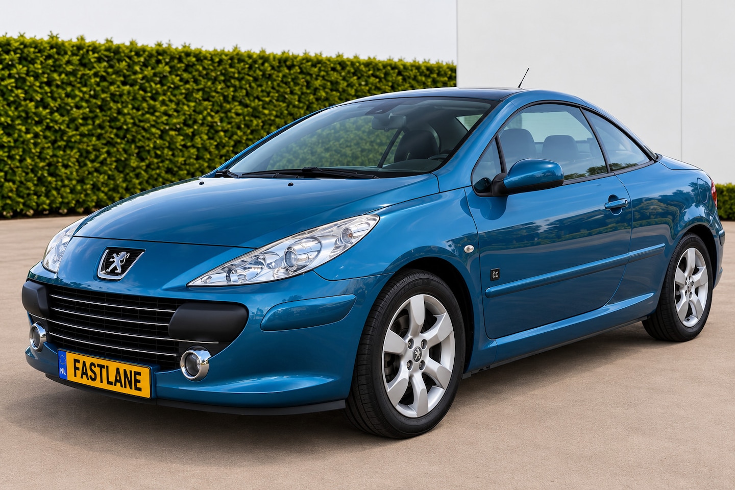 Peugeot 307 CC - 2.0-16V Palm Beach 2.0-16V Palm Beach - AutoWereld.nl