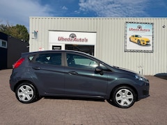 Ford Fiesta - 1.0 EcoBoost Titanium ZEER MOOI KM 110916--4450E